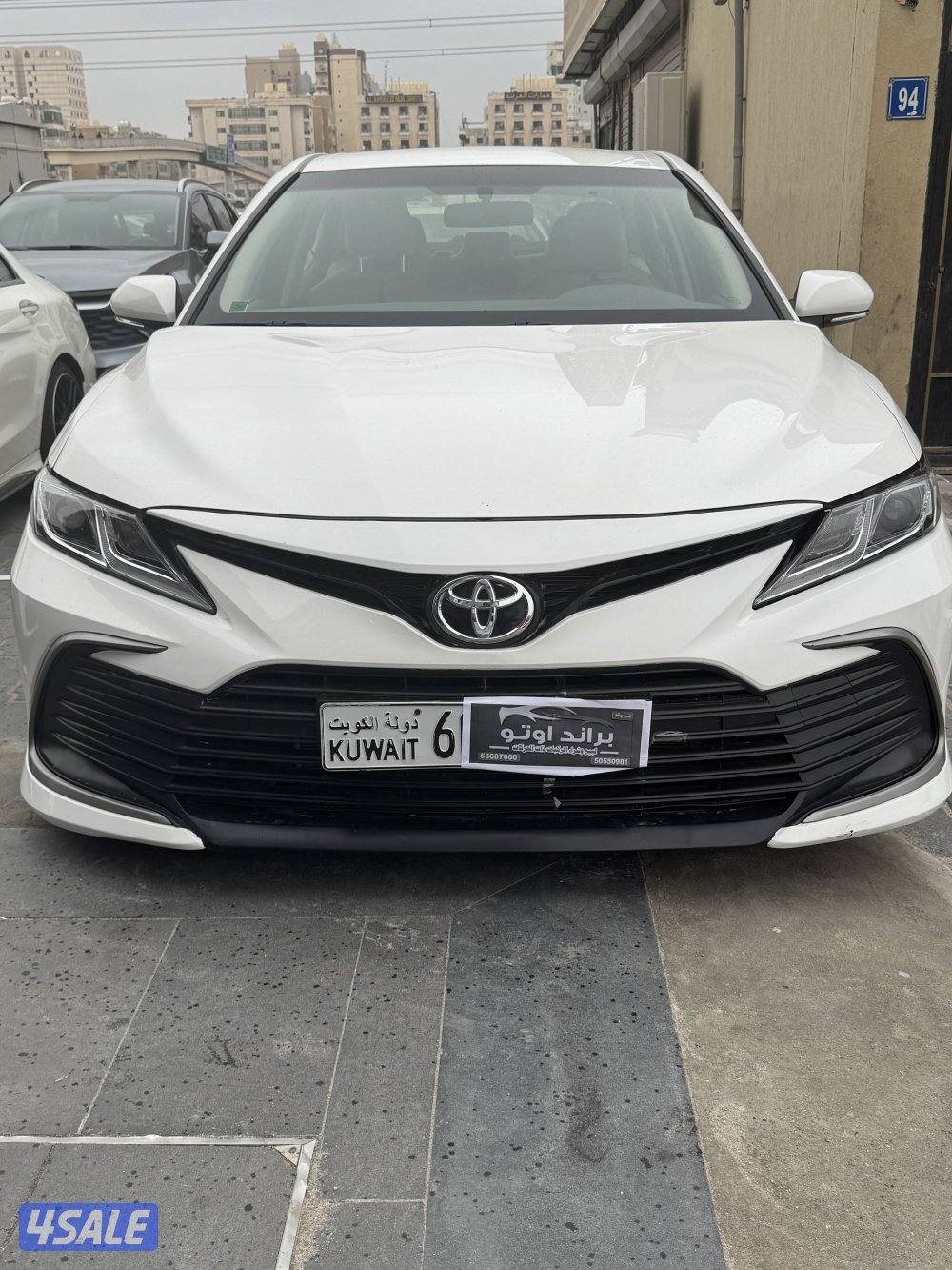 جملة ولا مفرد موديل 20224