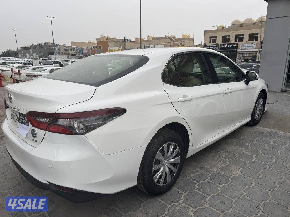 جملة ولا مفرد موديل 20225