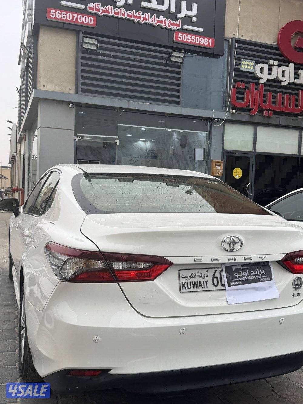 جملة ولا مفرد موديل 20226