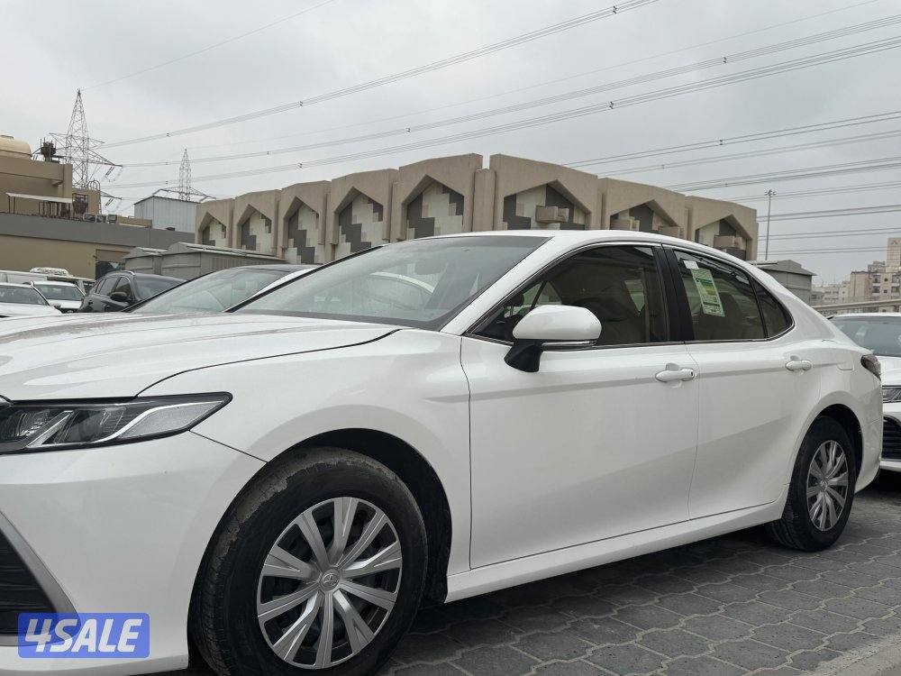 جملة ولا مفرد موديل 20228