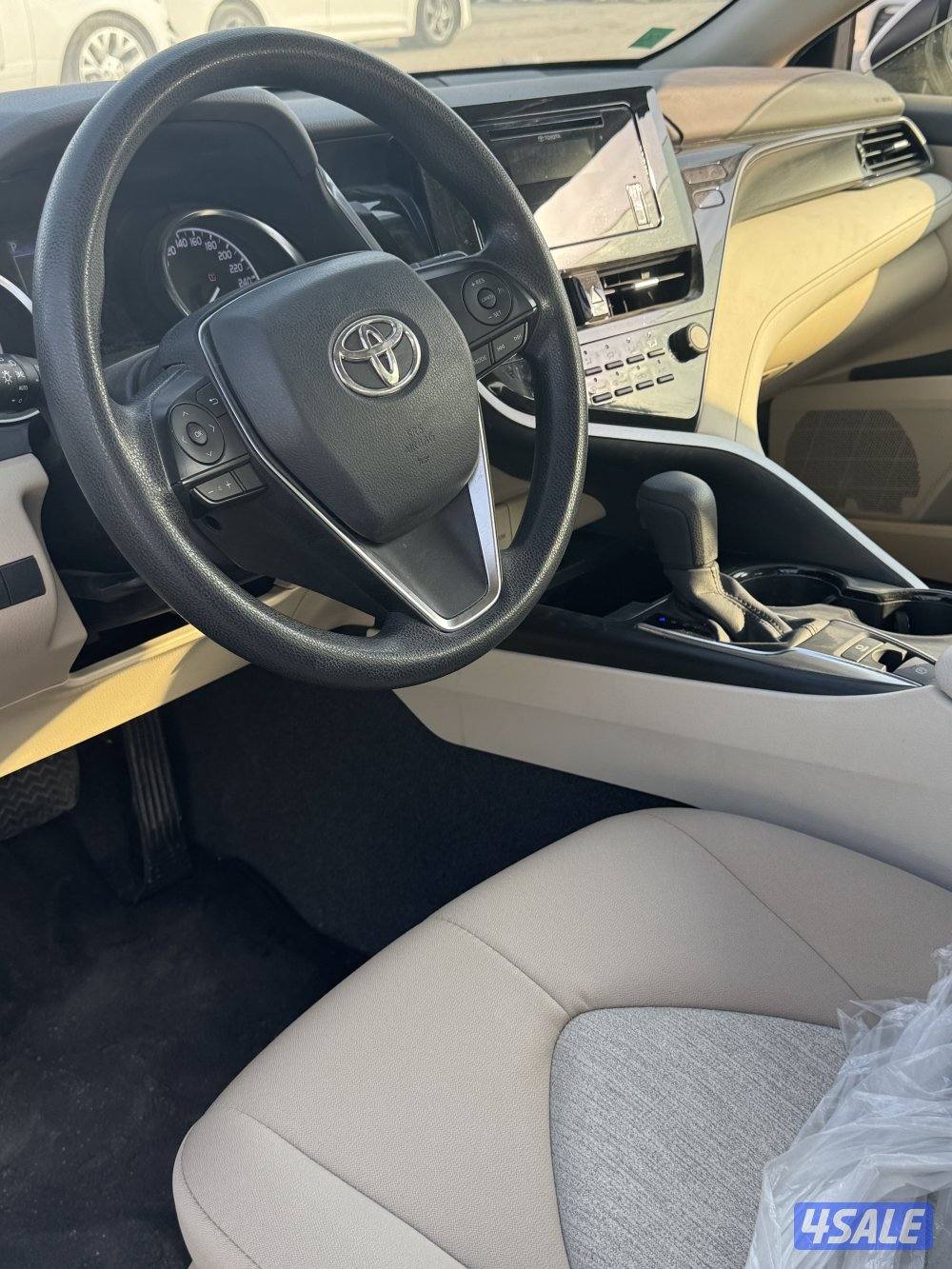 جملة ولا مفرد موديل 20229