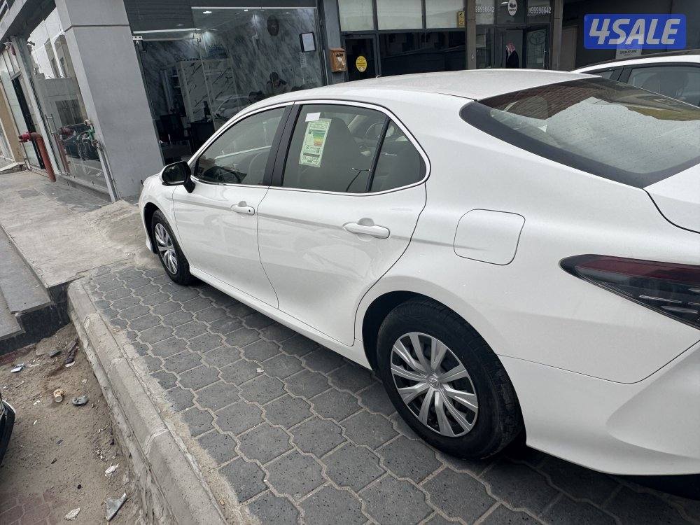 جملة ولا مفرد موديل 202210