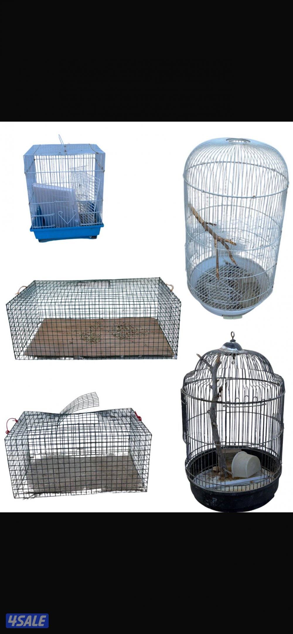 للبيع كراسي  وقفاصه ومدخنه3