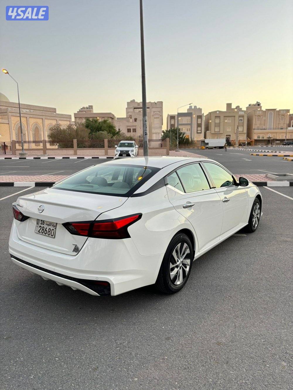 التيما 2019 عداد 1781