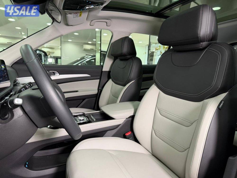 فورددتيريتوري  20264