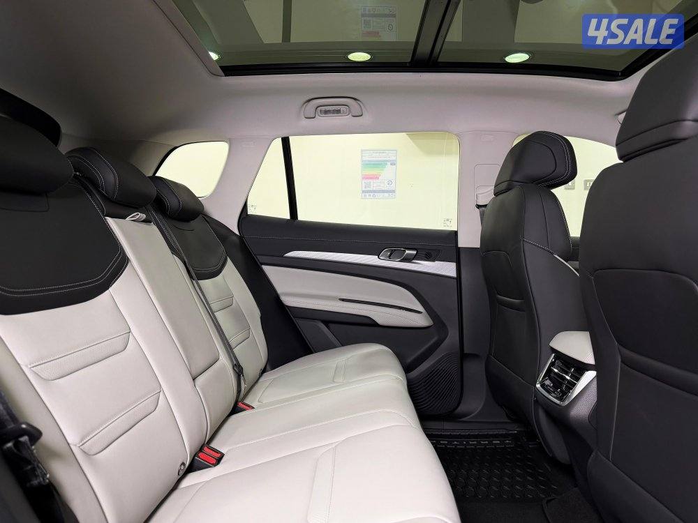 فورددتيريتوري  20266