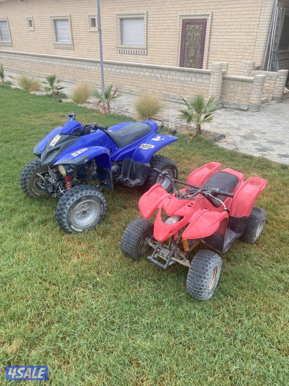 بقيات عدد 22