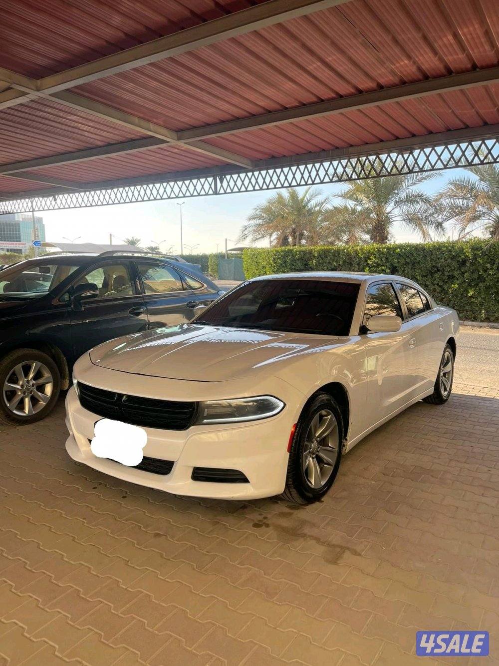 صبغ الوكالة مالك اول 6 سلندر2