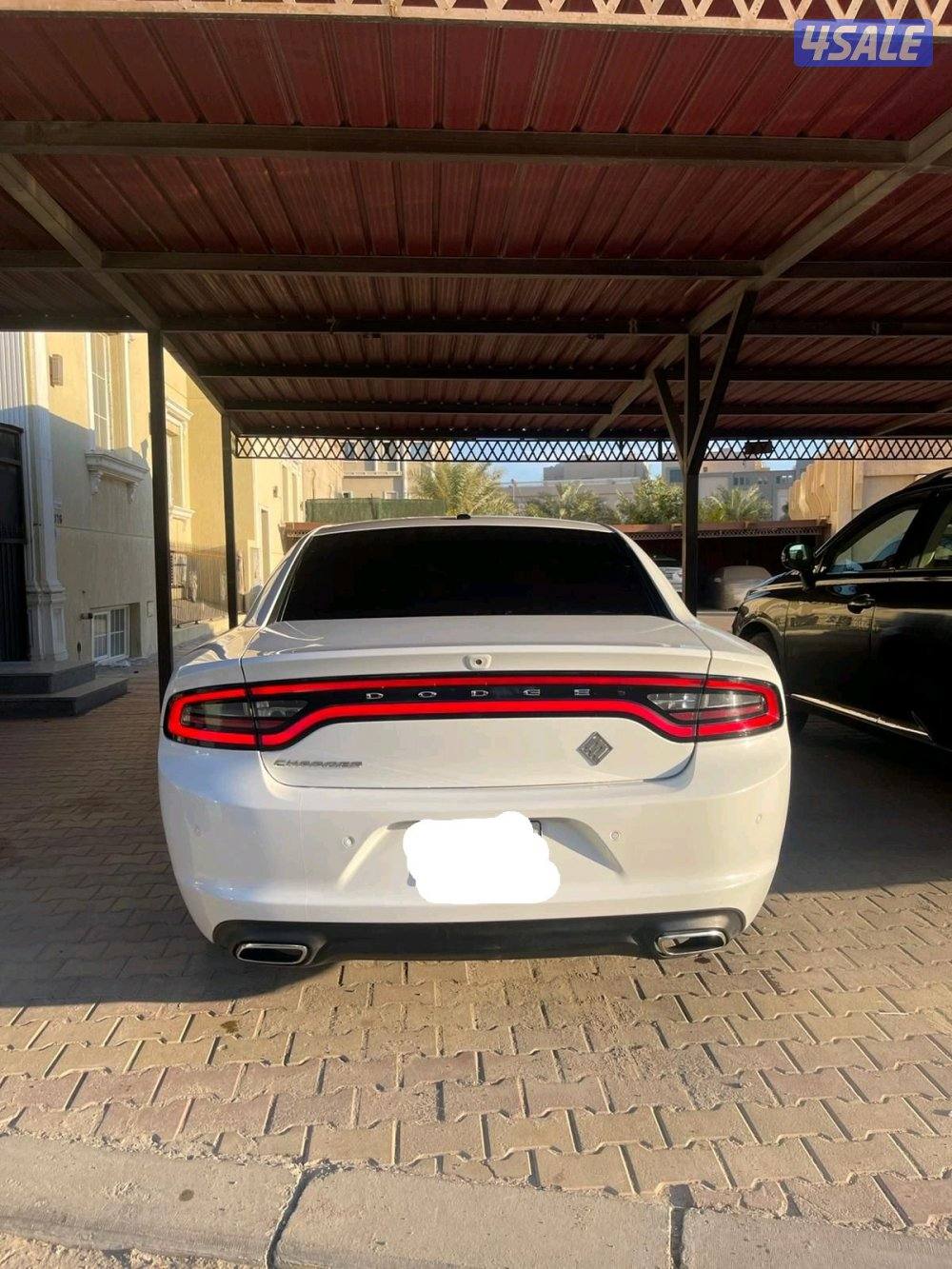 صبغ الوكالة مالك اول 6 سلندر1