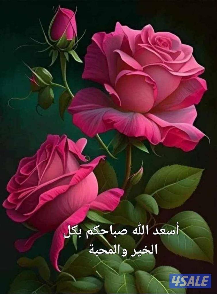 معلم التربية الإسلامية خبرة طويلة0