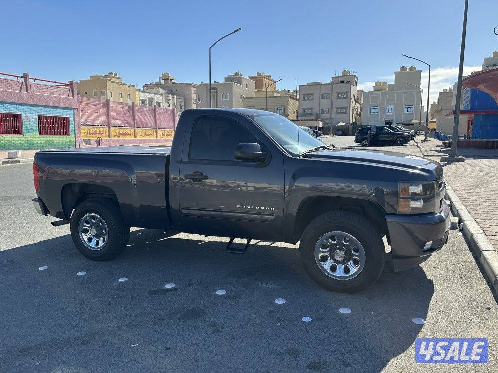 سلفرادو 20100