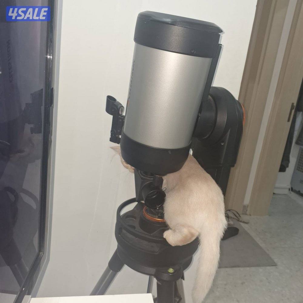 المهبولة قطعة ٢ شارع خلف   اوكسجين الصحي امام مانجو هايبر2