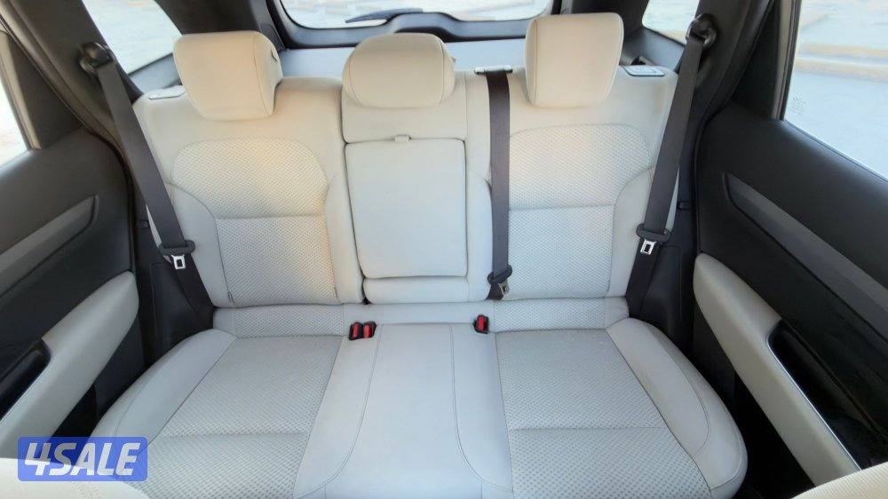 جيب رينو كوليوس 20215