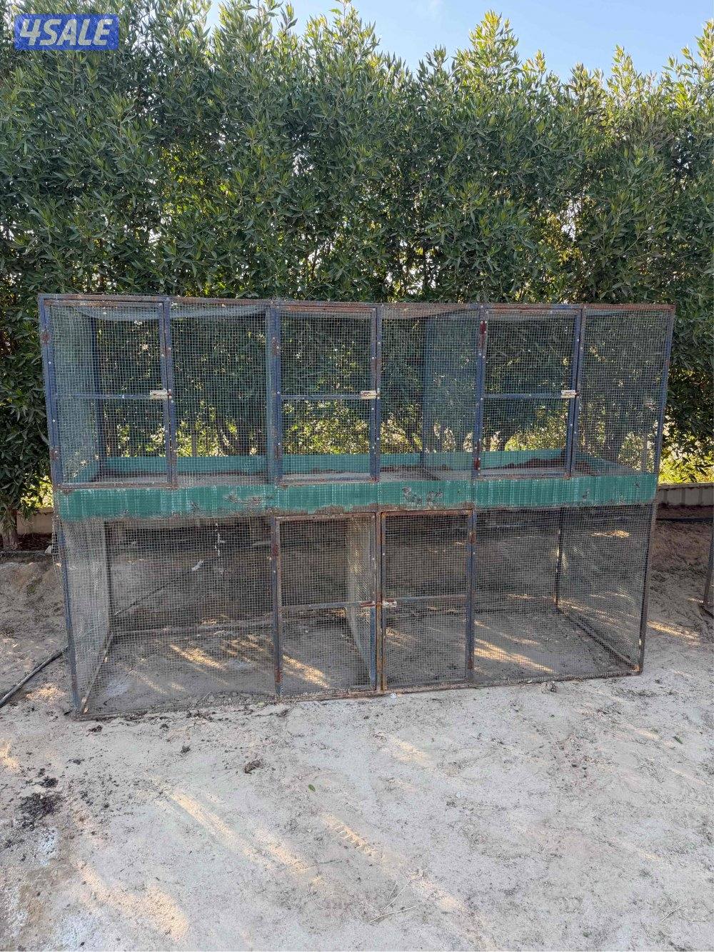 خانات جمله او تفريد0