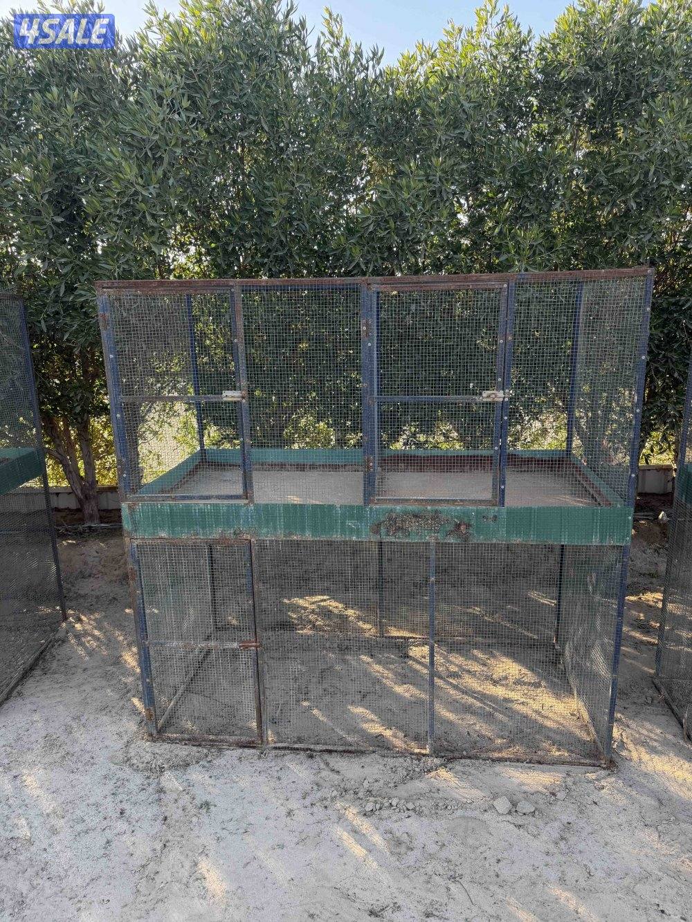 خانات جمله او تفريد1