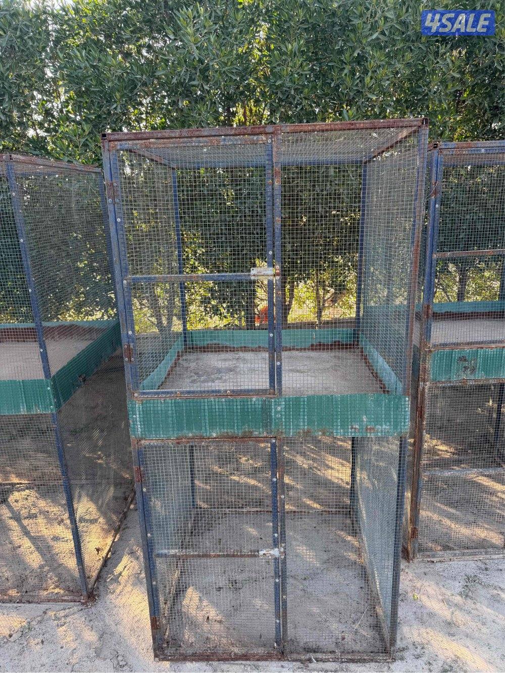 خانات جمله او تفريد2