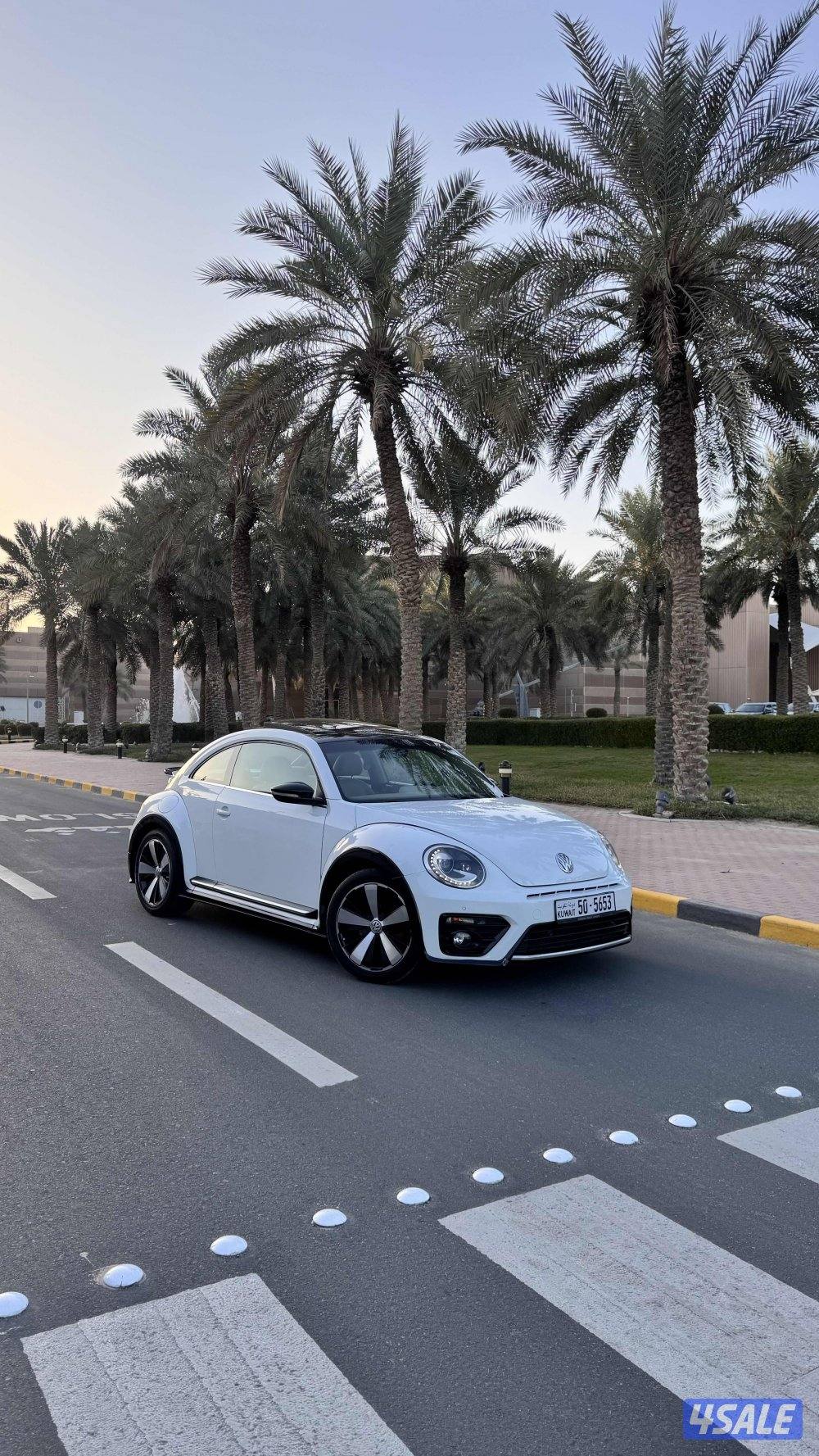 بيتل موديل 2018 🌟0