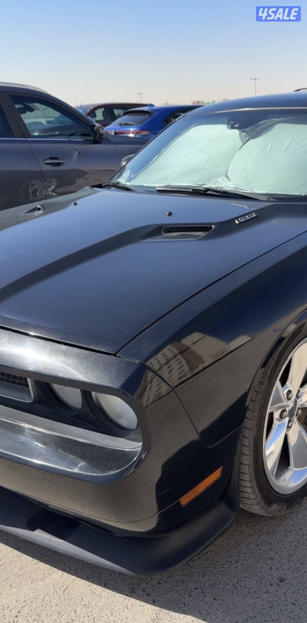 ㅤㅤㅤㅤㅤㅤㅤㅤㅤㅤ5