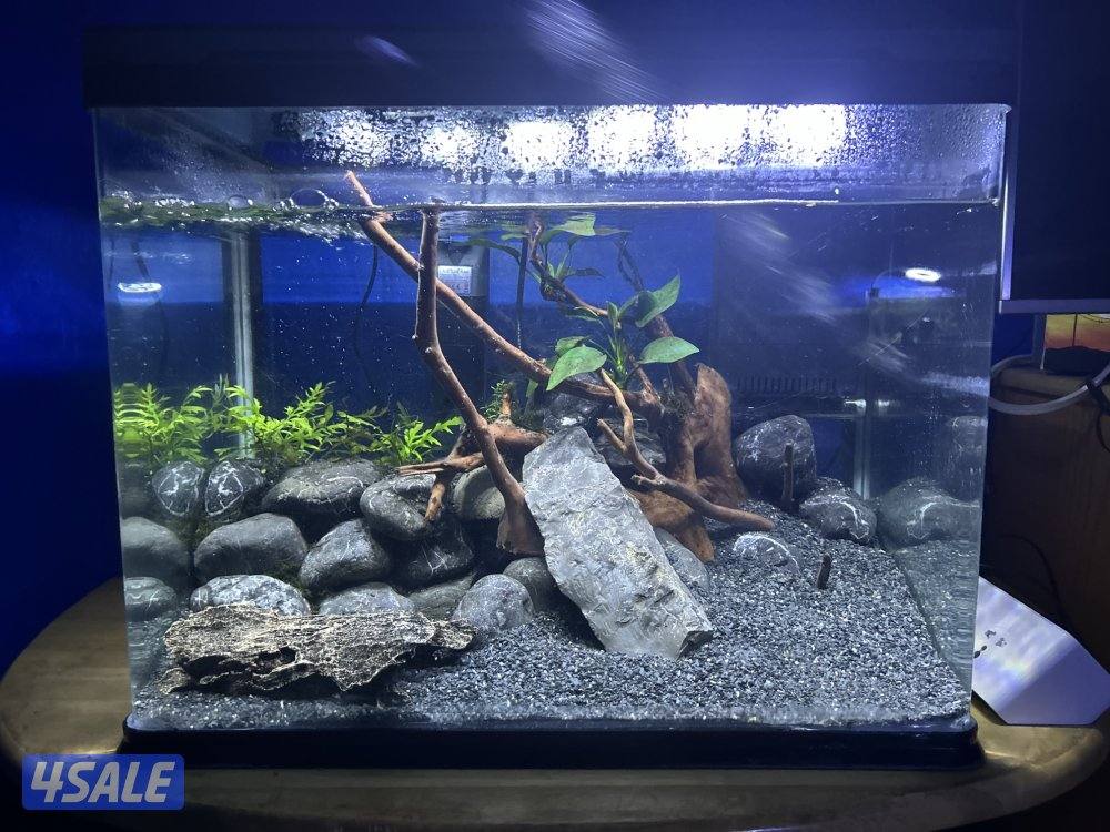 للبيع حوض مجهز0