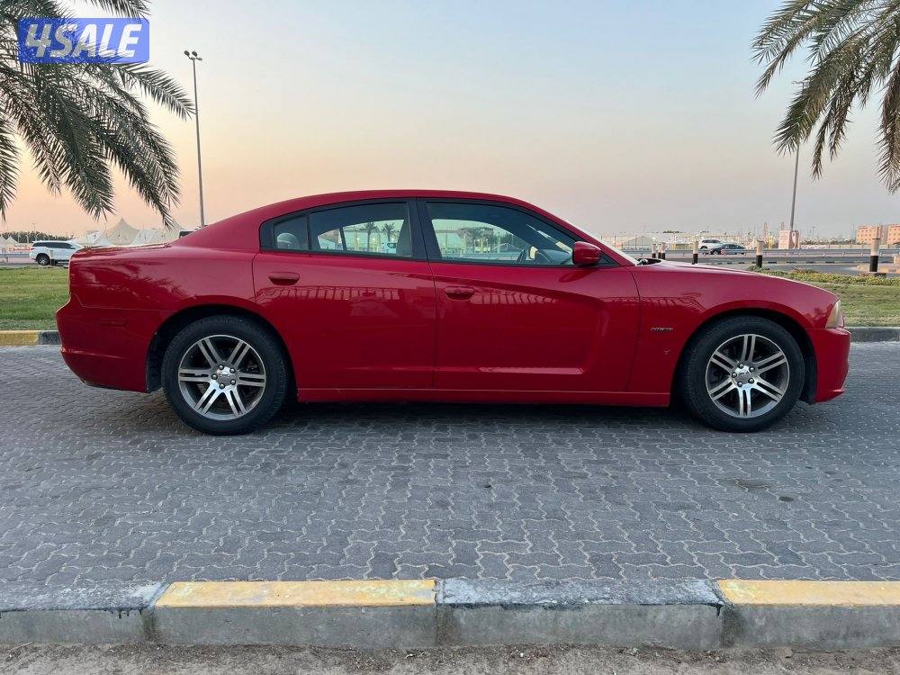 ‏المعاينة العارضية الصناعية2