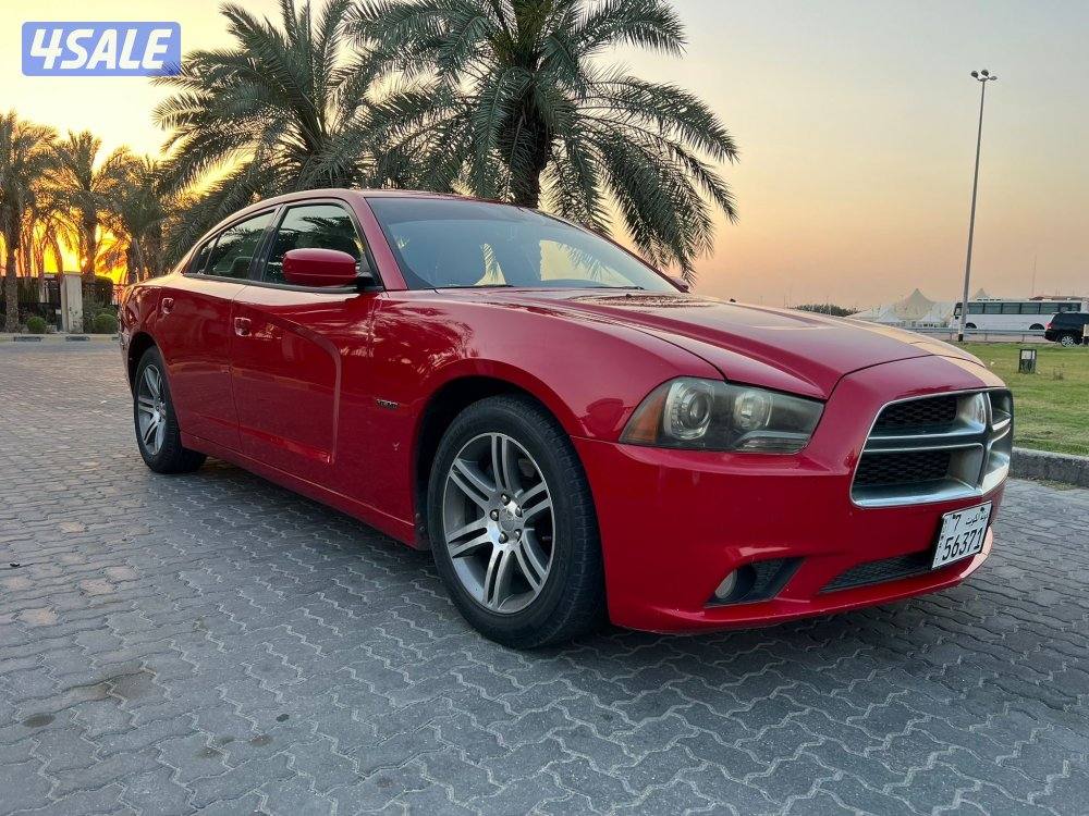 ‏المعاينة العارضية الصناعية5