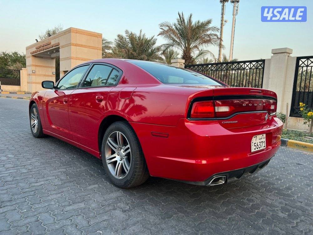 ‏المعاينة العارضية الصناعية7