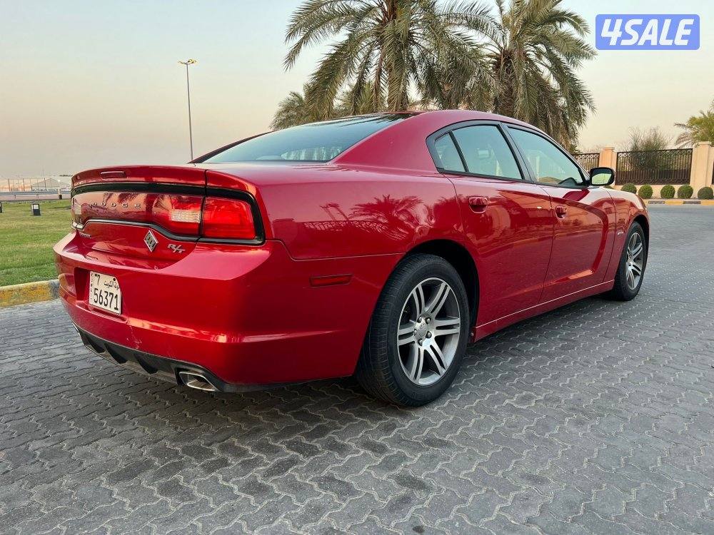 ‏المعاينة العارضية الصناعية6