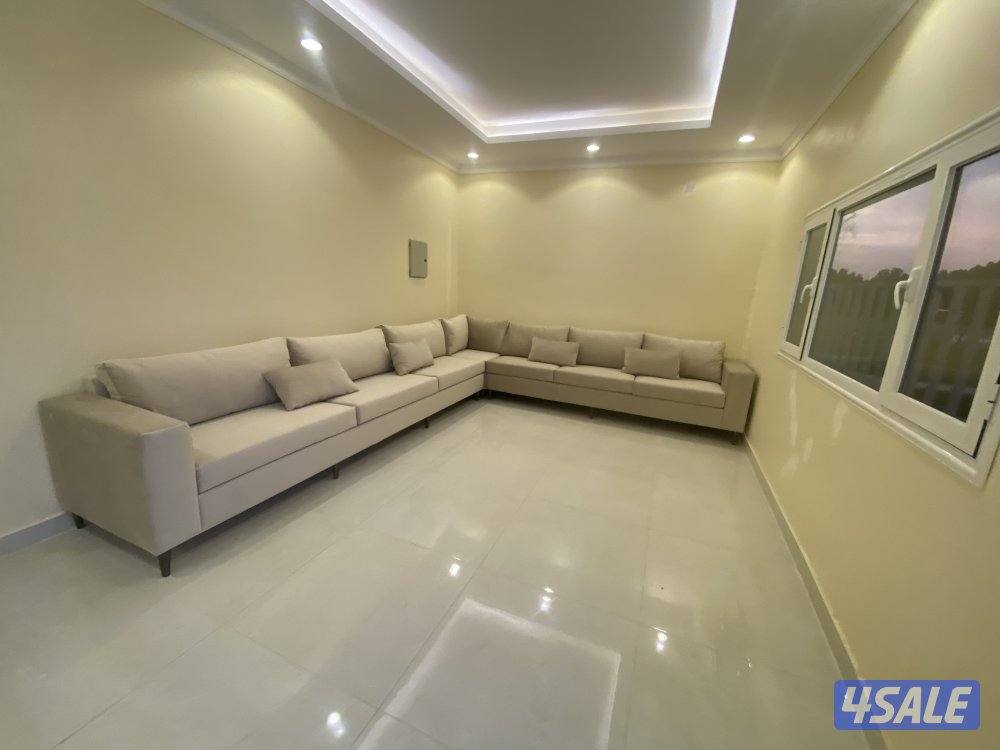 تفصال جميع أنواع الصلات الاستقبال والدواوين10