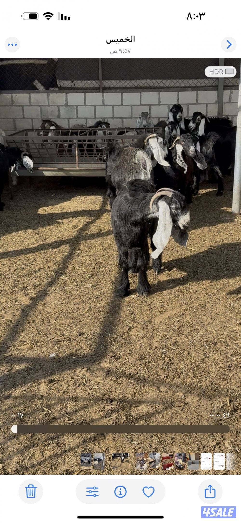 للبيع معزاء عوارض وضرايب في مصافيل ٢ والعدد١٦2