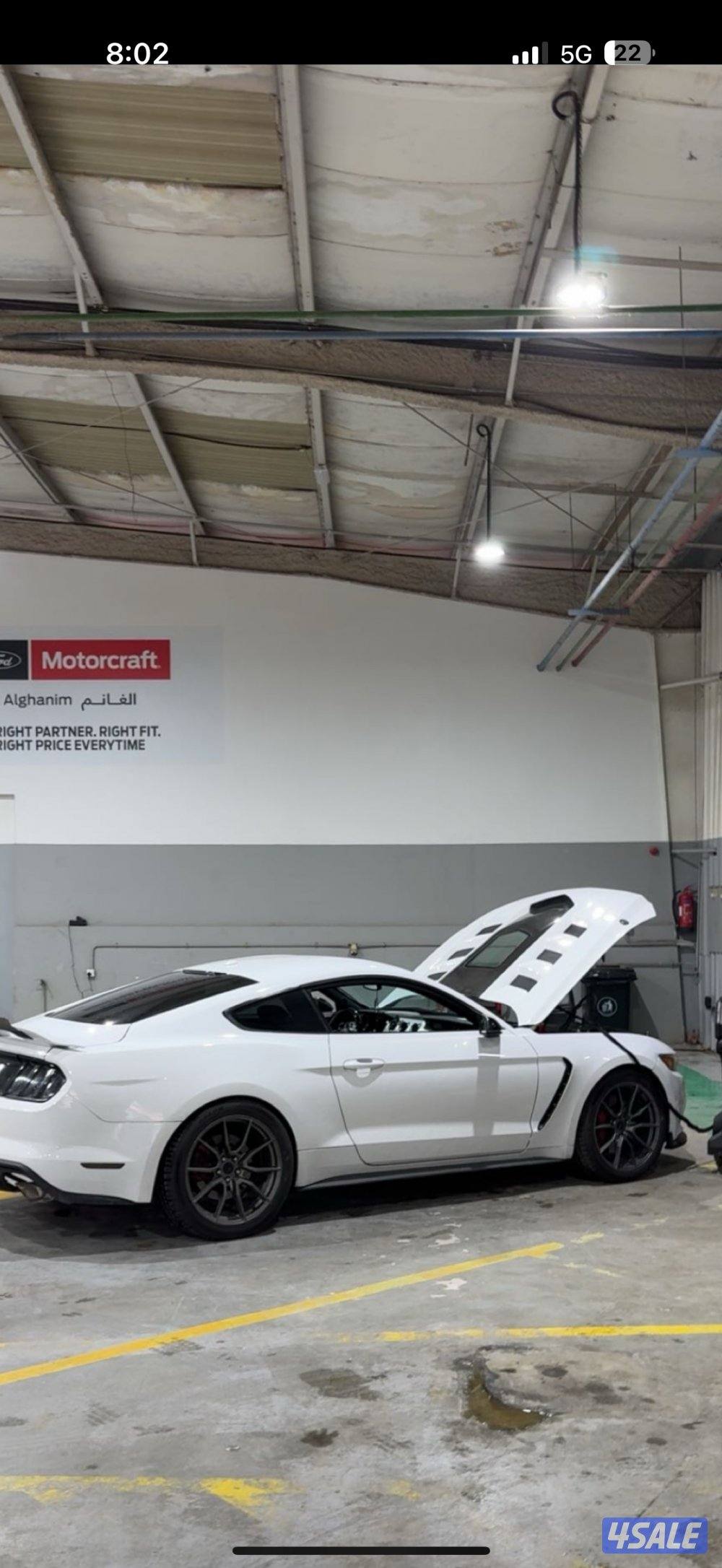 كبوت كاربن0