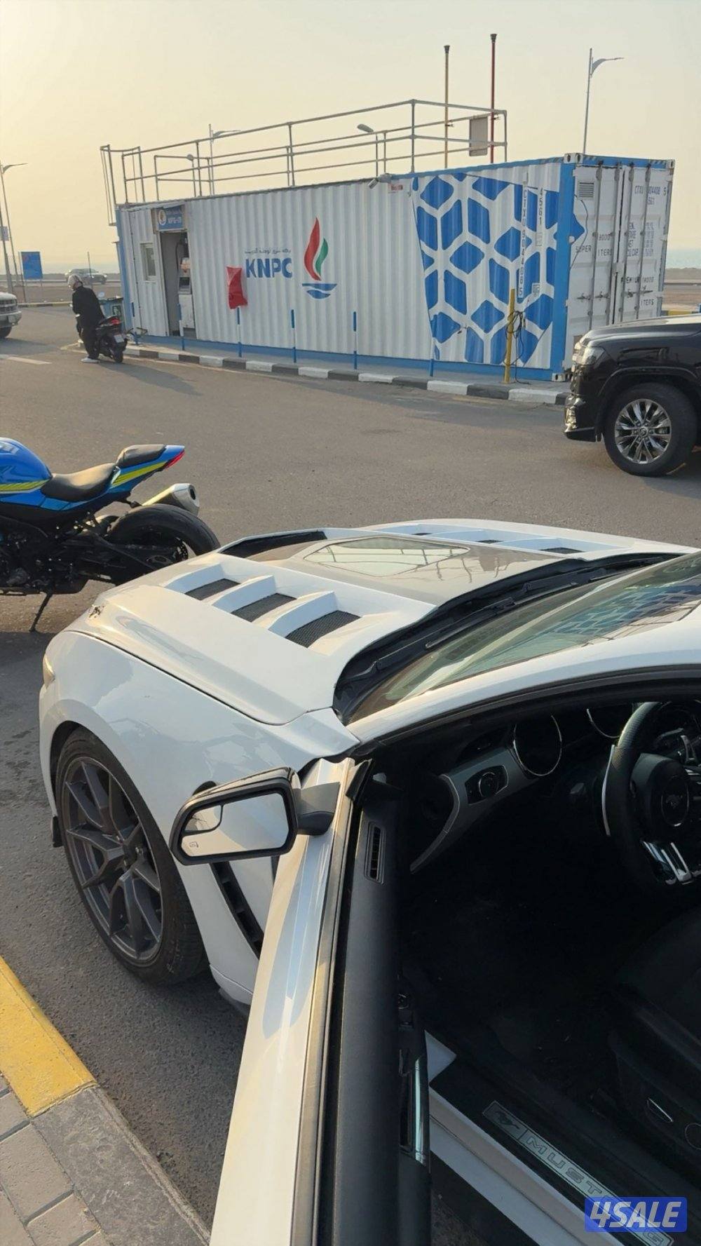 كبوت كاربن1