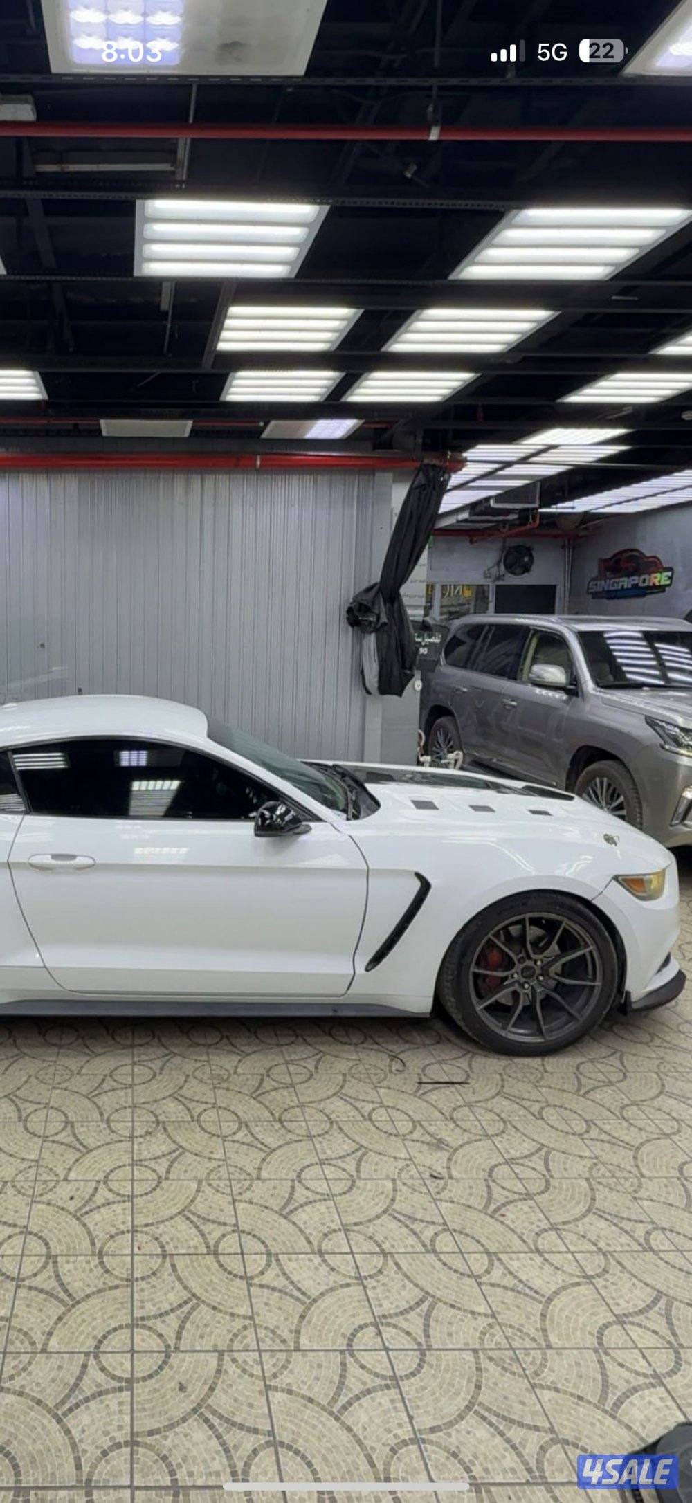 كبوت كاربن2