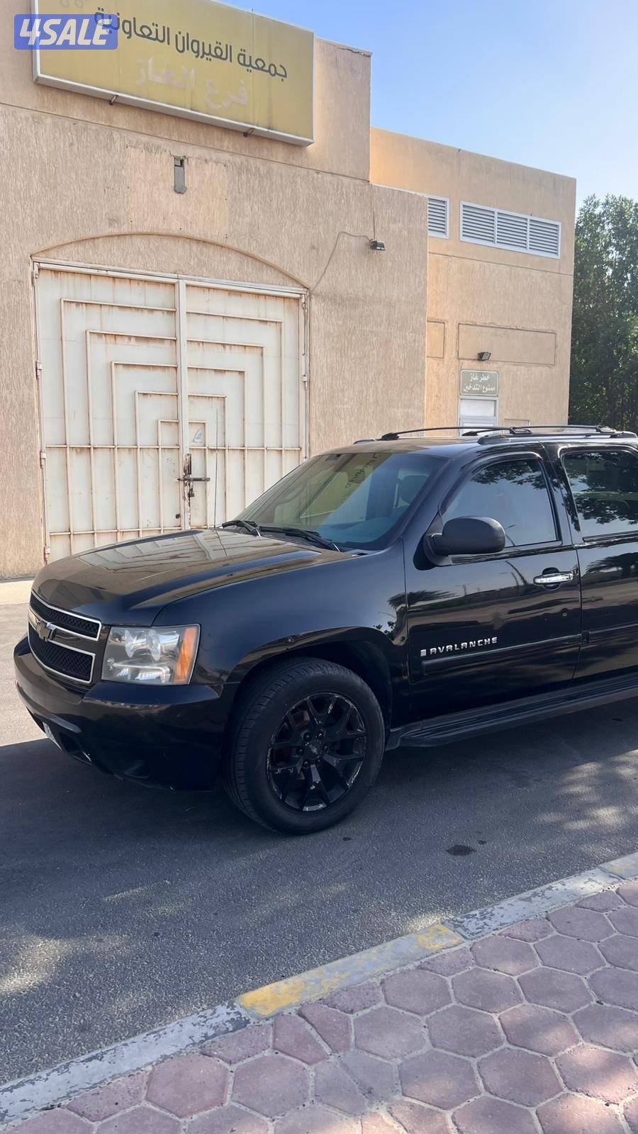 افلانش ٢٠٠٨8