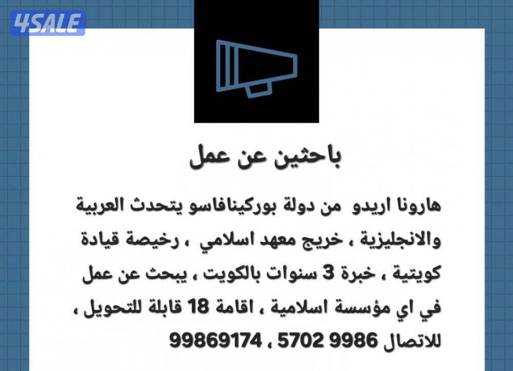 يبحث عن عمل0