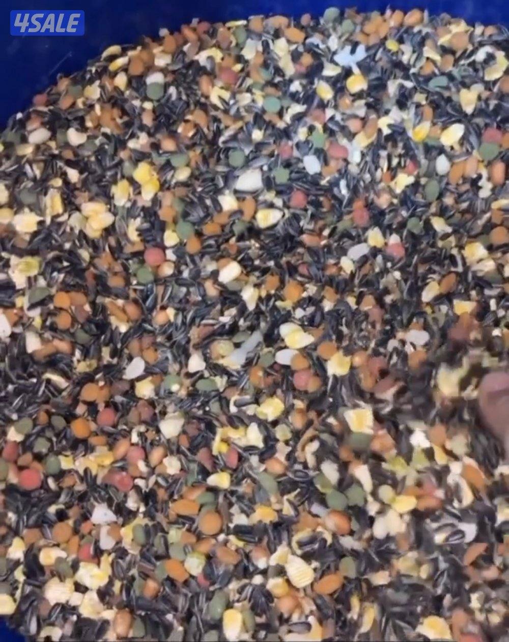 🧶فروخ ربوة🧶6