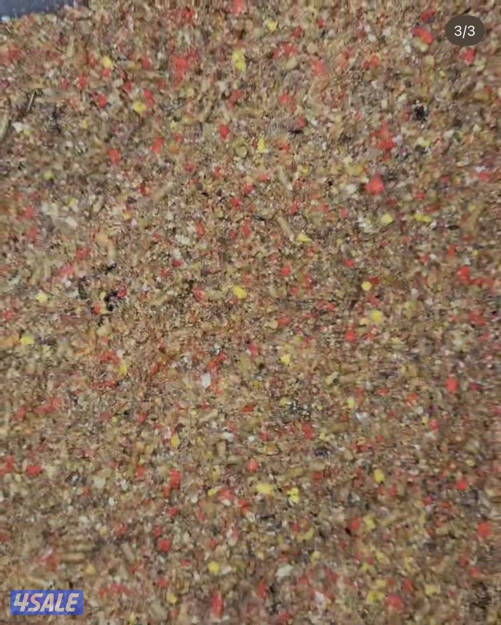 🧶فروخ ربوة🧶7