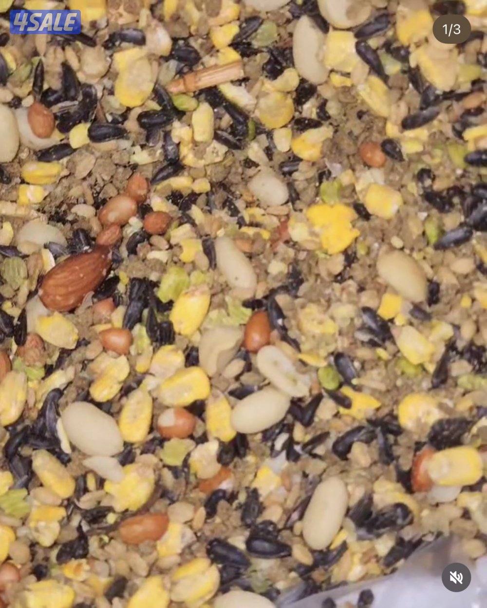 🧶فروخ ربوة🧶8