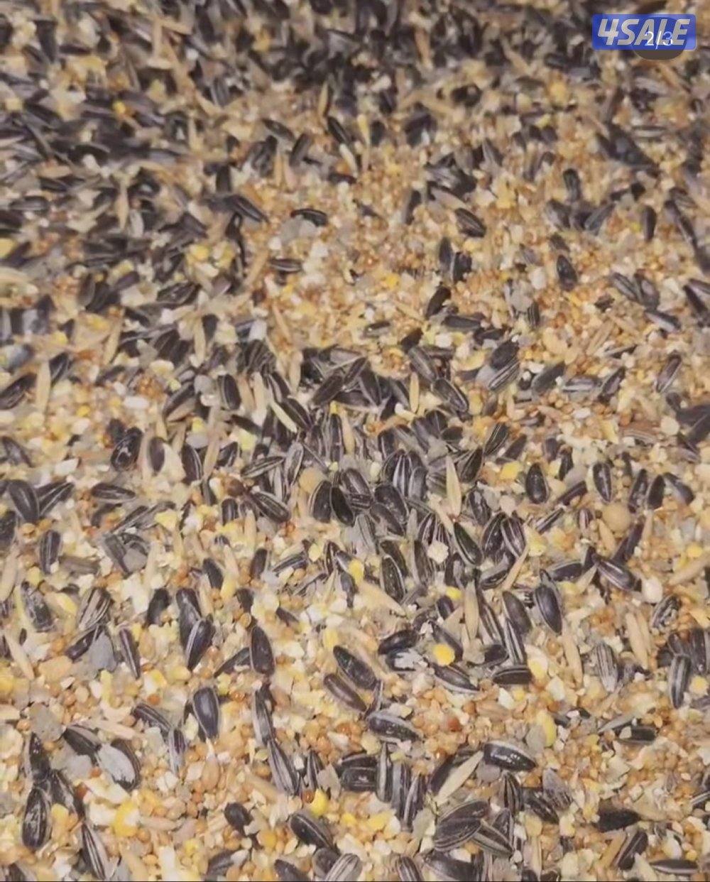 🧶فروخ ربوة🧶9