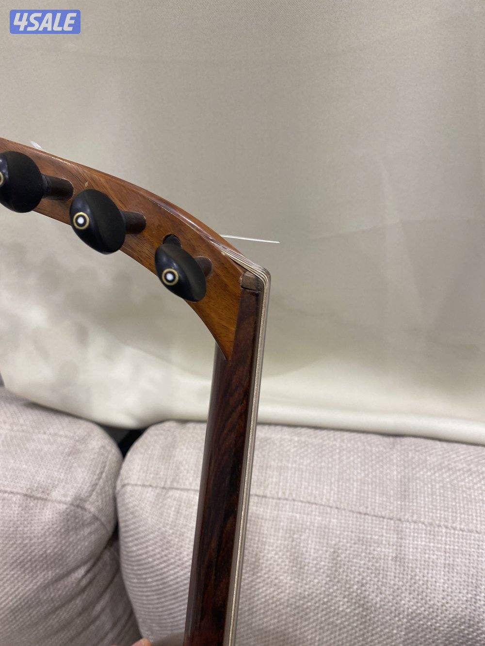 سالمين صناعة 20091