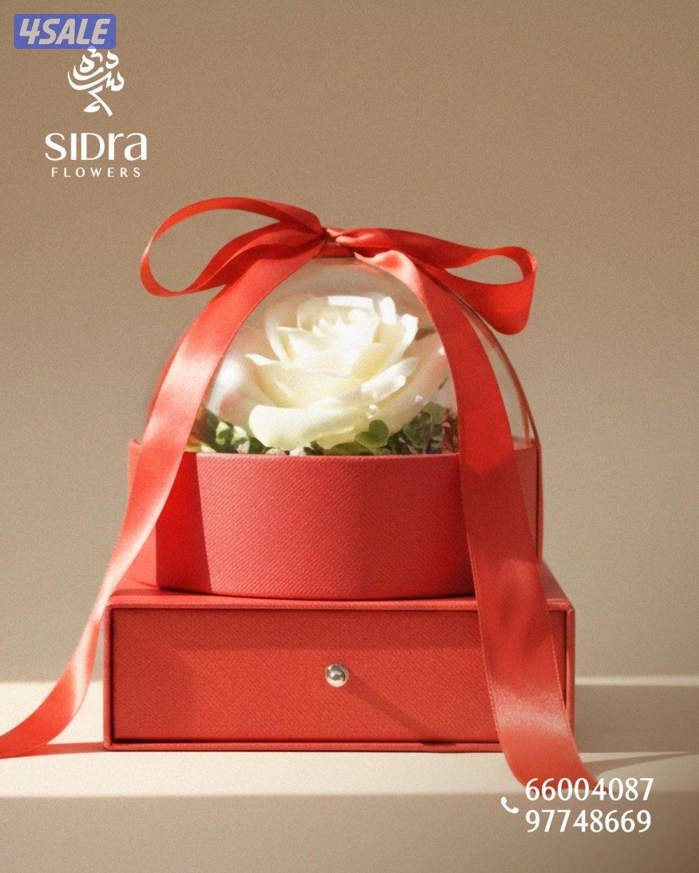 زهور لكل مناسبة
بوكيهات  - تنسيقات ورد - ديكور مناسبات - هدايا وأكثر3