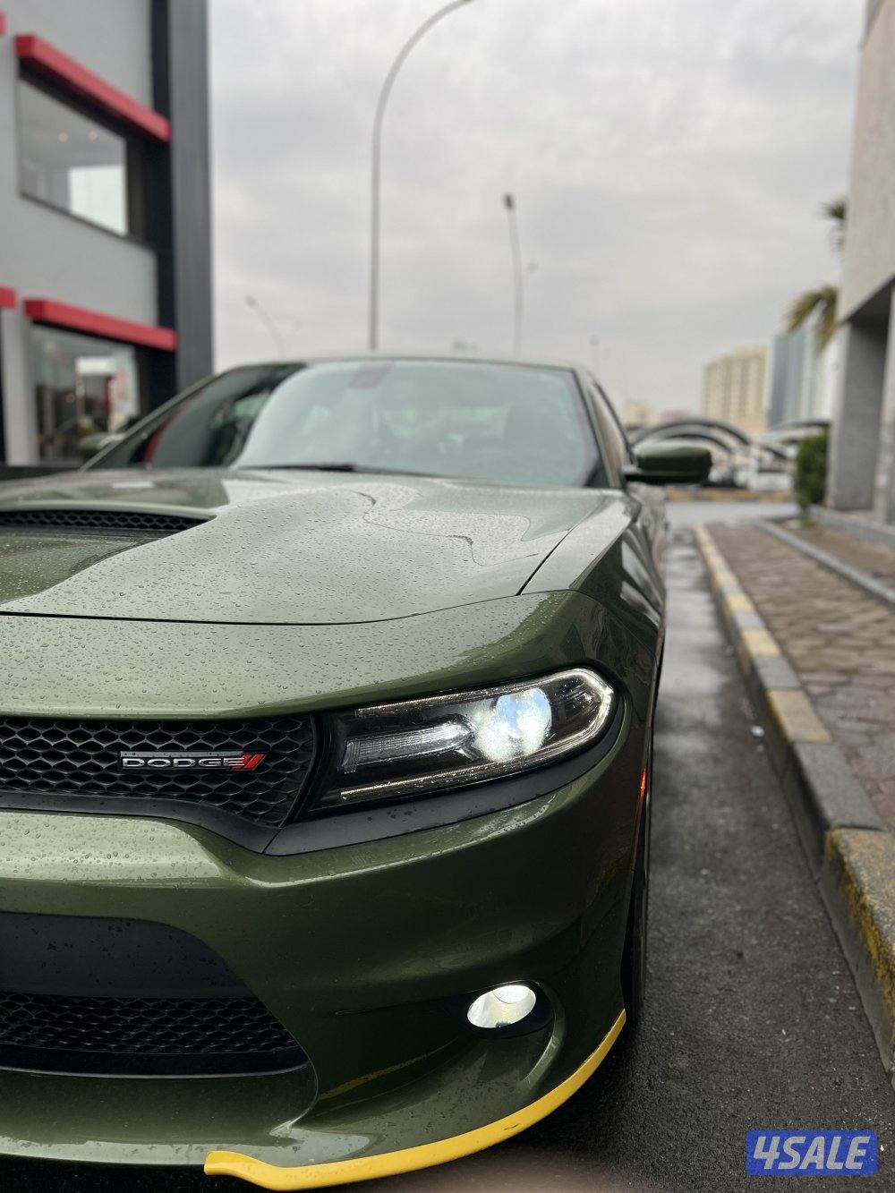 بحالة الوكالة صبغ وكالة0