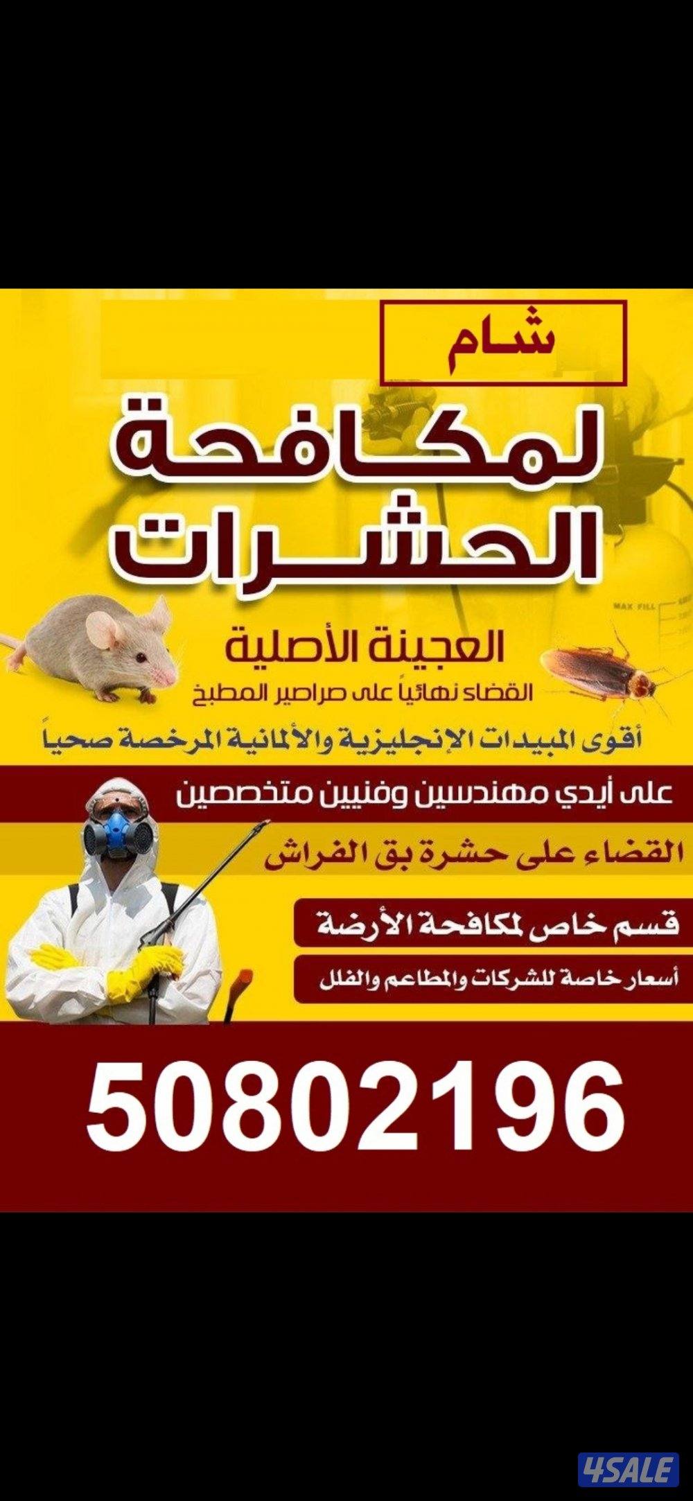 مكافحة حشرات وقوارض0