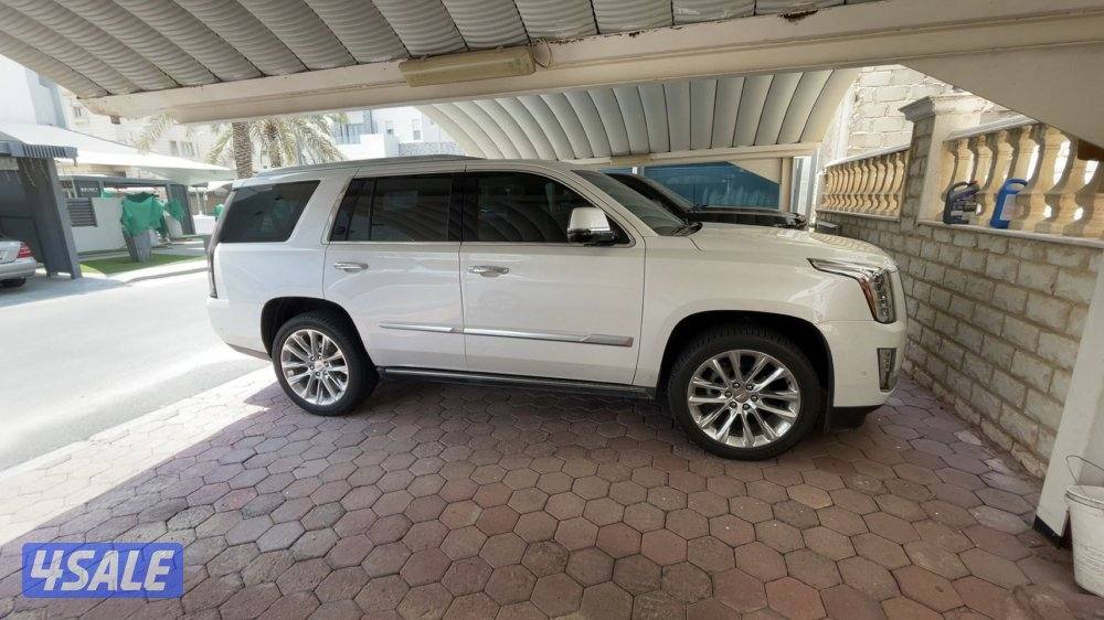 اسكاليد ٢٠١٩0