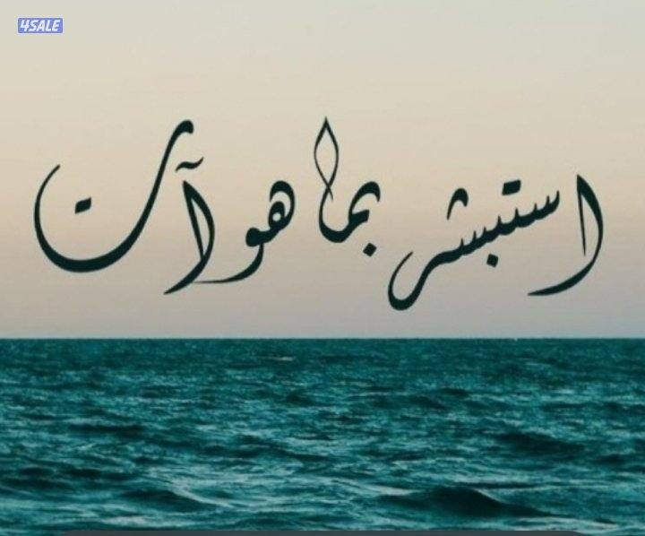 متفرق ولدي رخصه قياده وسياره العمر ٥٠سنه ابحث عن عمل0