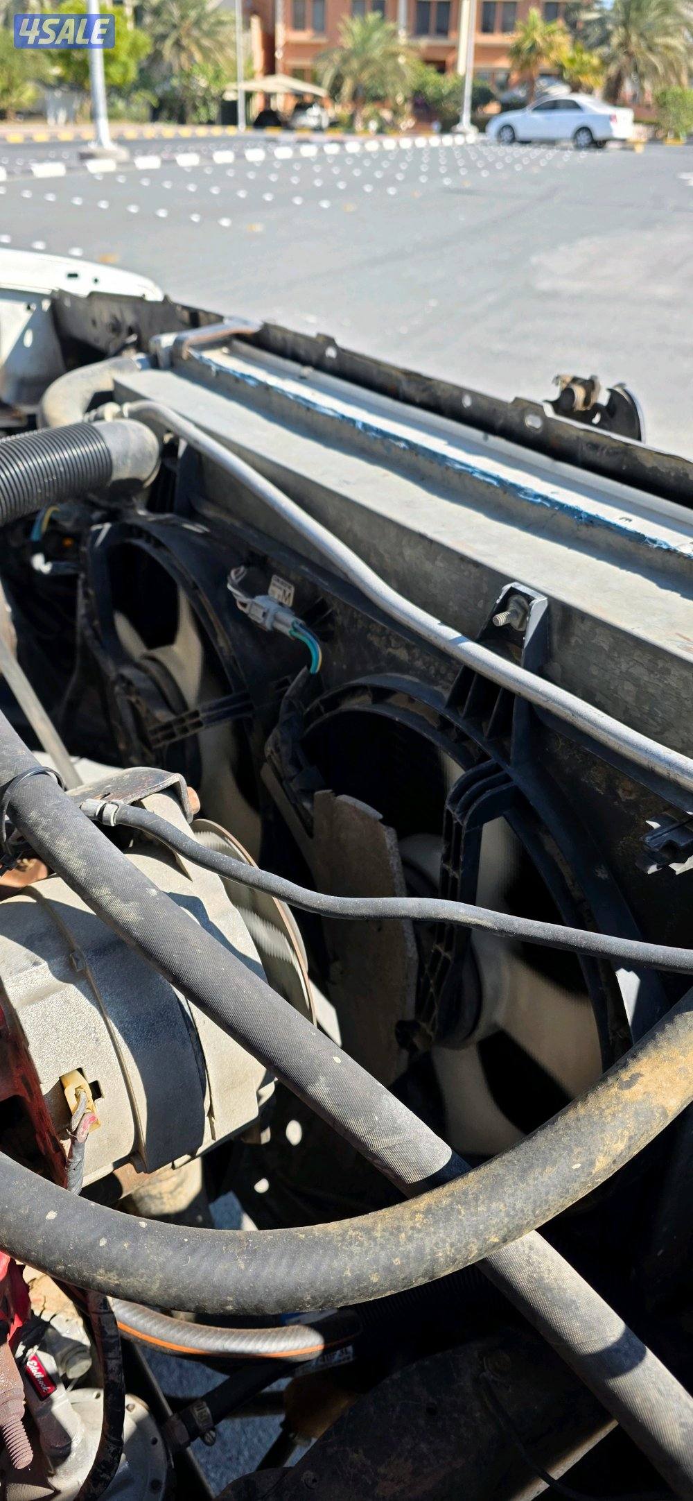 وانيت شفر كي ٢٠ 198415