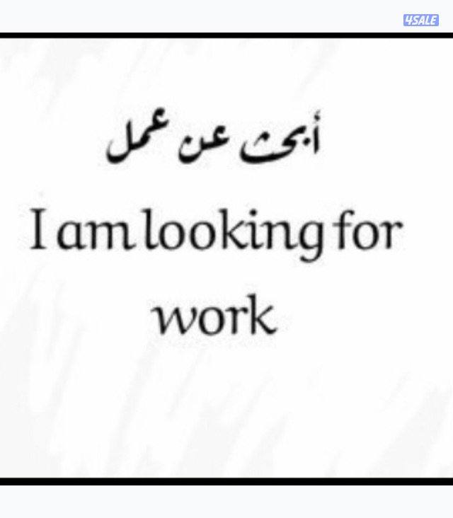 باحث عن عمل0