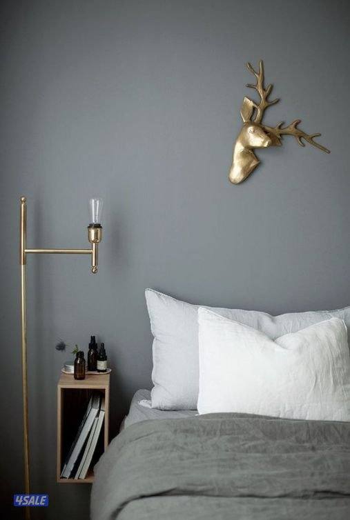 محمد صباغ باكستاني2