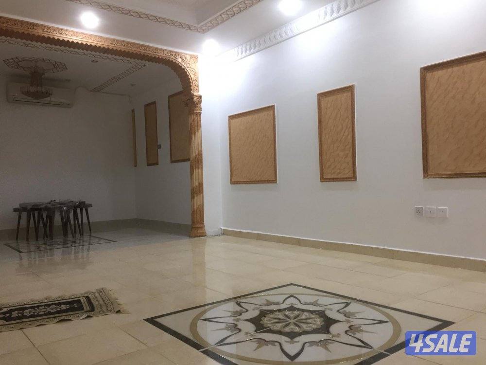 محمد صباغ باكستاني12