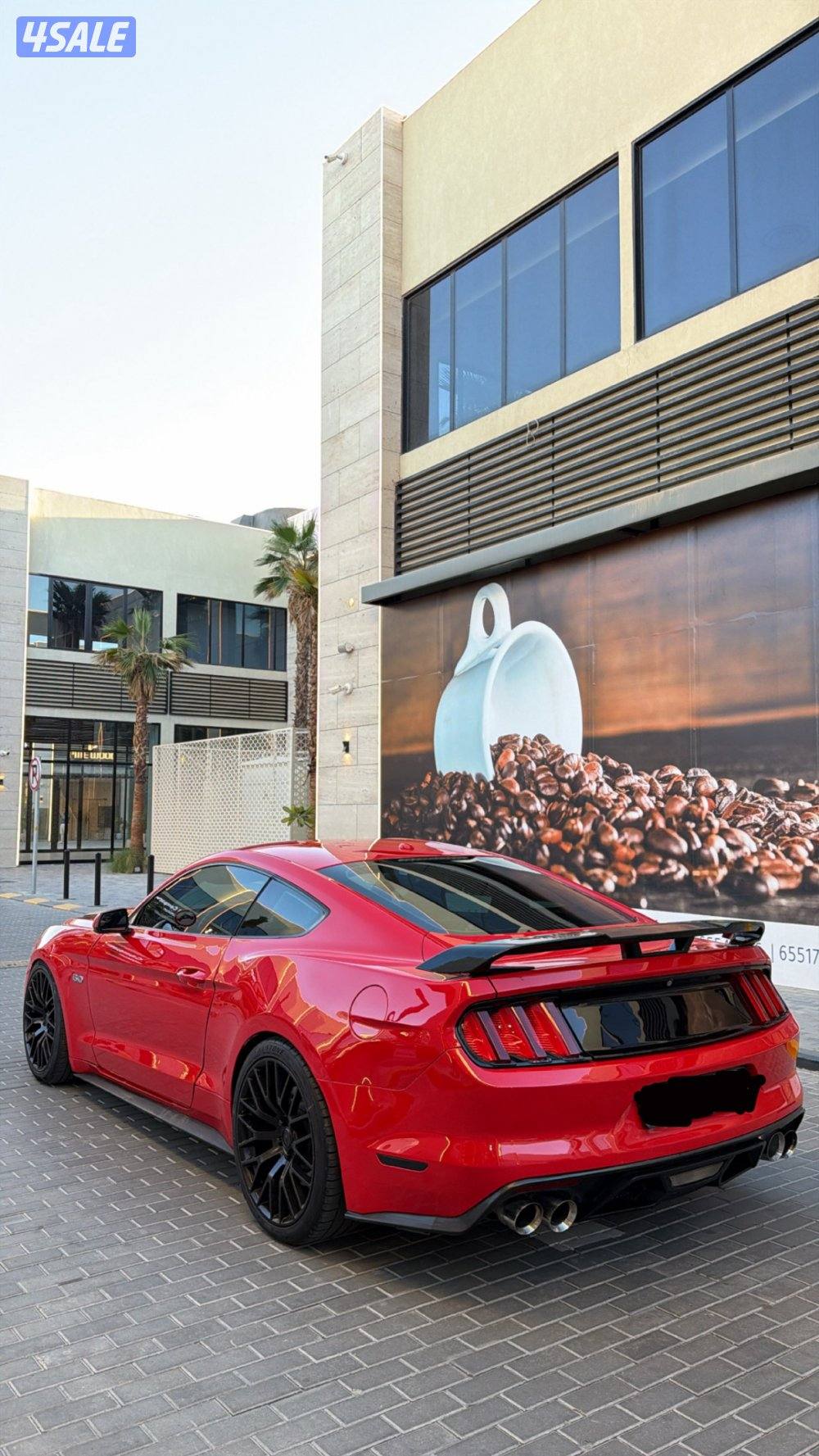 للبيع موستنق 2015 بيرفورمنس بكج 2015 /5.0 قير عادي شرط الفحص3