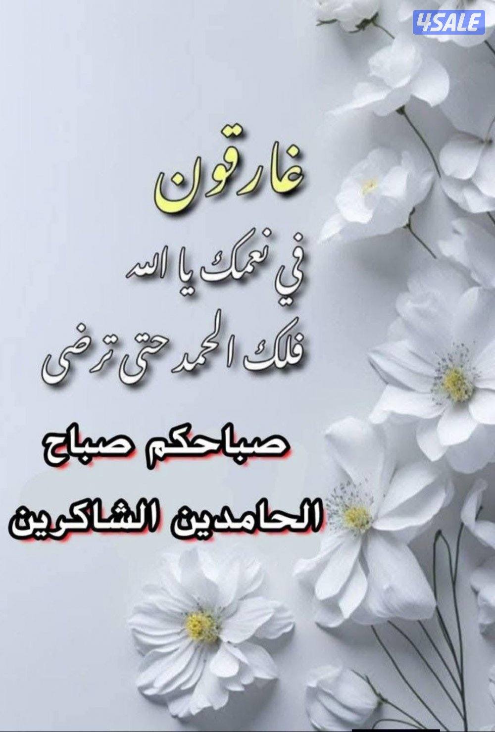 مدرس رياضيات وإحصاء0